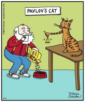 animalhumor022722.jpg