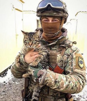armycats022722.jpg