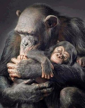 motherslove022722.jpg