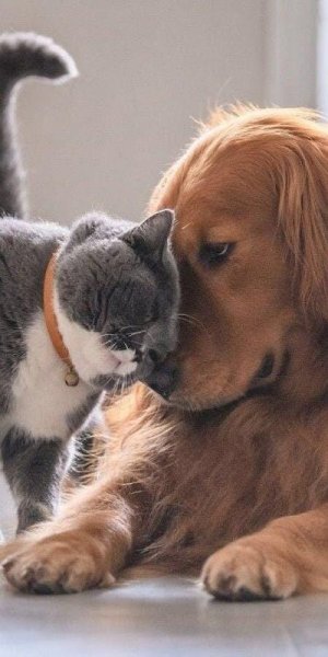 friendship022722.jpg