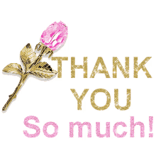 thanks-thank-you.gif