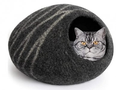 catcave.jpg