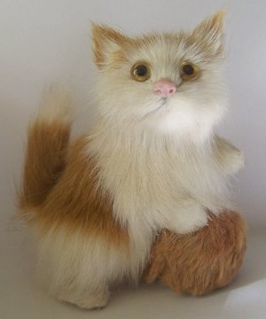 fur.jpg