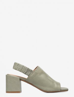 Shoe the bear green.jpg