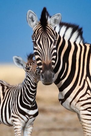 motherslove030422.jpg