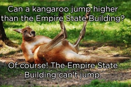 here-are-some-dumb-animal-jokes-to-make-you-giggle.jpg