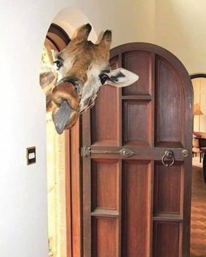animalhumor030122.jpg