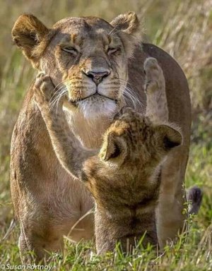 motherslove030222.jpg