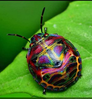 spots030122.jpg