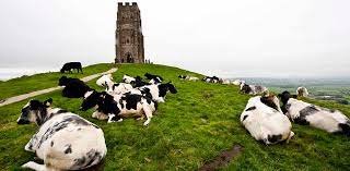 Glastonbury Tor, Somerset, England | Glastonbury Tor is a hi… | Flickr
