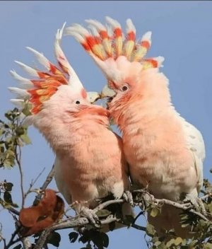 friendship030122.jpg