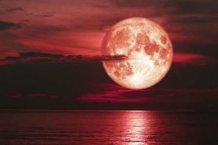 strawberrymoon.jpg