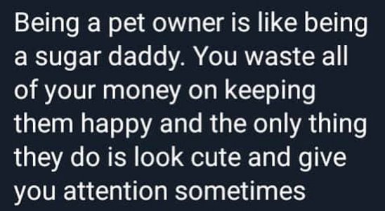 animalhumor030222.jpg