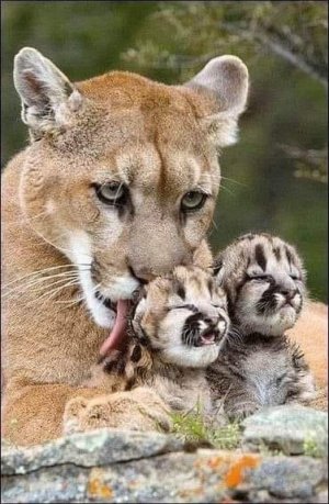 motherslove030322.jpg