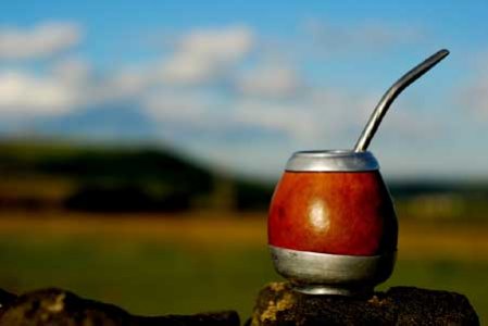 yerba-mate.jpg