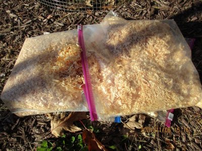 #27A winter mulch.JPG