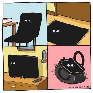 animalhumor030322.jpg