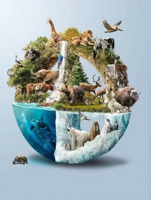wildlife030322.jpg
