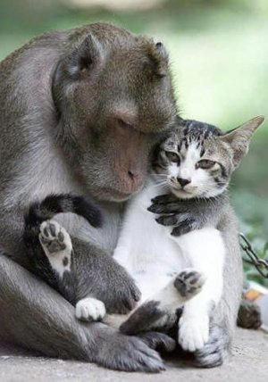 friendship031222.jpg