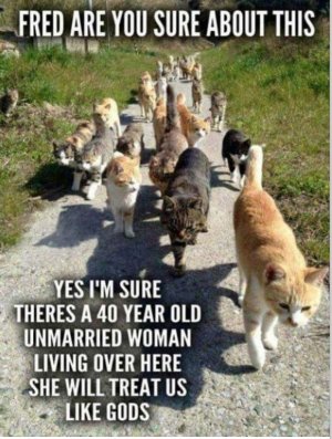 cats god.jpg