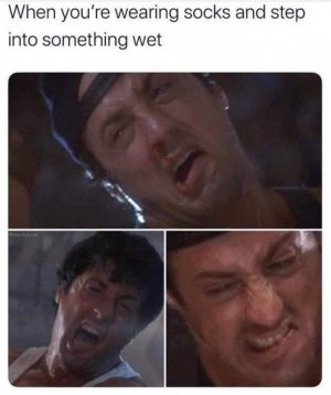 6C852432-DF70-48A2-9FE1-DEEBEC2D40CA.jpeg