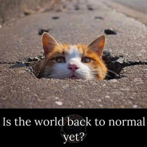 normal022522.jpg