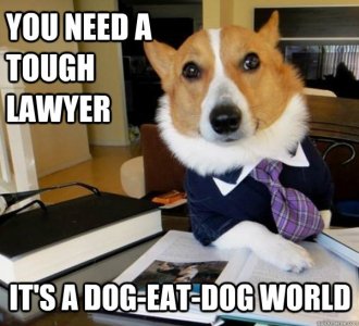 Lawyer dog eat dog.1.jpg