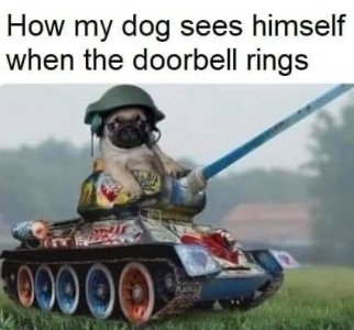 dogg.jpg