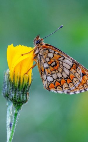 spots030522.jpg