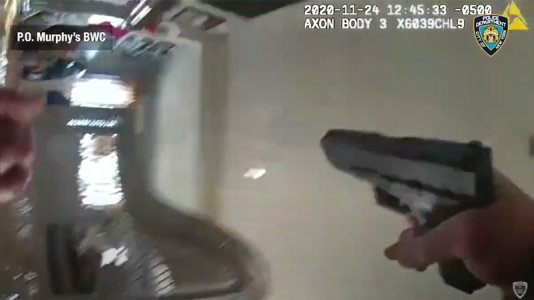 10391170_030521-wabc-domestic-shooting-bodycam-img.jpg