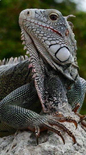 spots030922.jpg