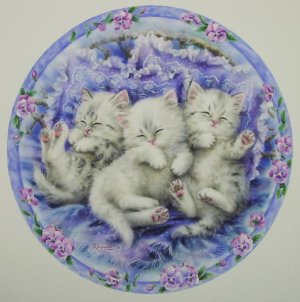 AfternoonNap.jpg