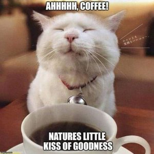 coffee030722.jpg