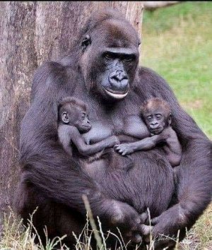 motherslove030822.jpg