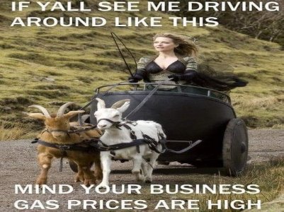 Goats & woman.jpg