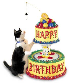 Cat-bday.jpg