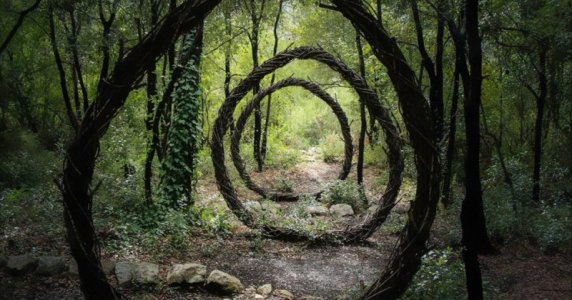 forest-land-art-nature-spencer-byles-fb.jpg