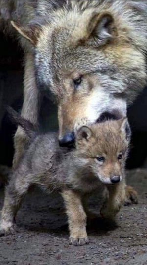 motherslove030822.jpg