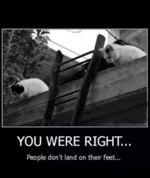 HumansDontLandOnFeet.jpg