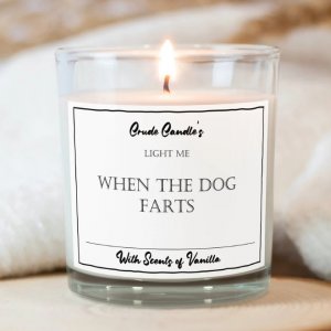 funny-candle1.jpeg