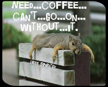 coffee030822.jpg