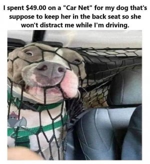 4DF7C91C-0DB4-4EEE-A41F-FB4A50952D9D.jpeg