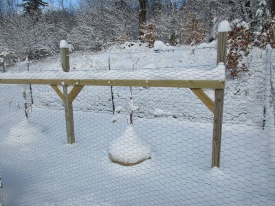 #28C snow on vineyard.JPG