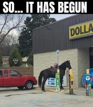 Horse at Dollar general.jpg