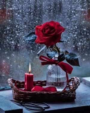 tumblr_bd7a8e31b7bb9a511aab23a70fc48c43_6b6686fb_1280.jpg