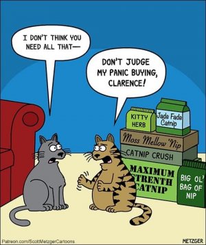 mellow-nip-catnip-crush-maximum-big-ol-trenth-catnip-bag-nip-metzger-patreoncomscottmetzgerca...jpeg