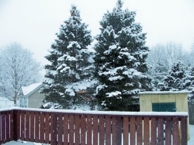 snow 3-9-22c.jpg