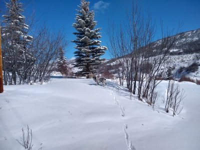 IMG_20220310_111713141_HDR.jpg