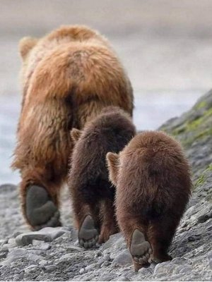 motherslove031122.jpg