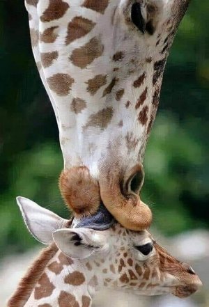 mothersloce031222.jpg